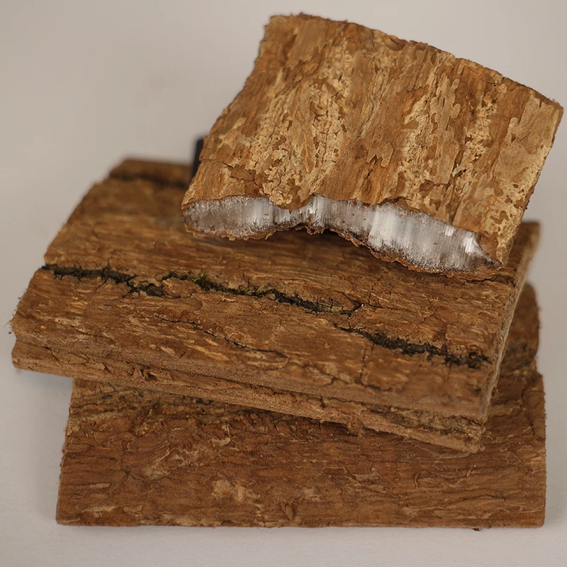 杜仲老树龄厚肉拉丝干货很厚的杜仲树皮道地高品质