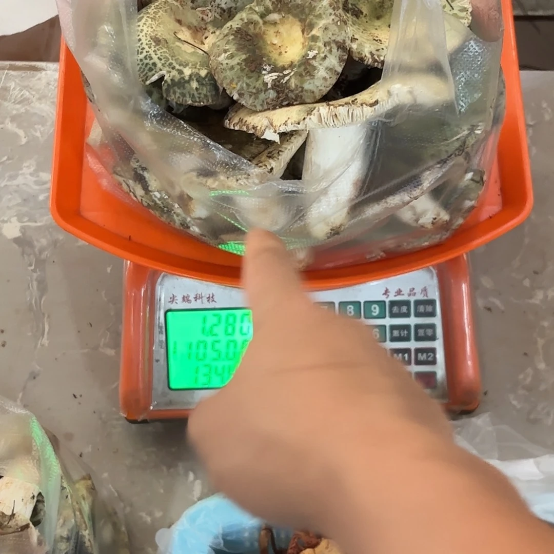 鞋***沙云南南华野生菌中国大陆