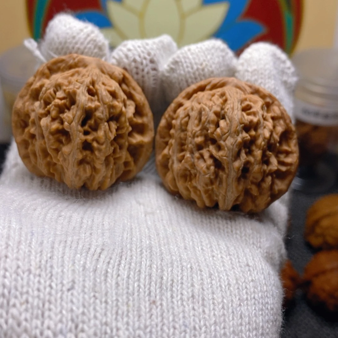 核桃熊儿寨一代楼42尺47克