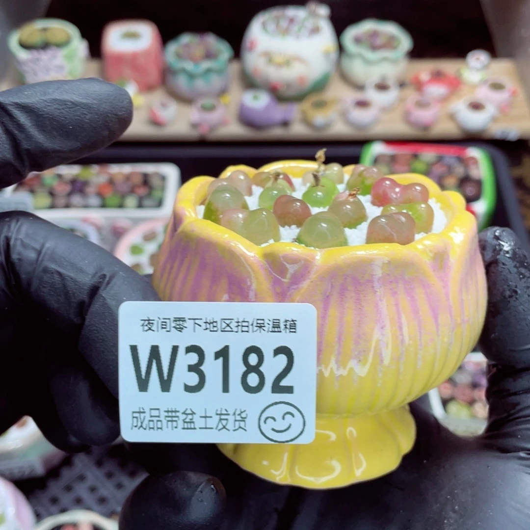 夜间零下地区拍保温箱w3182