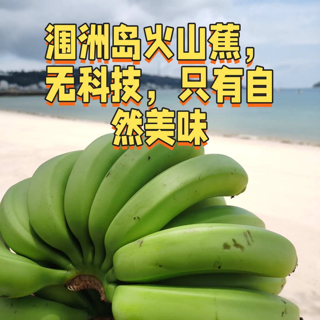 【涠洲岛绿皮蕉,顺丰包邮】北海香甜特产 带箱十斤(生发货)