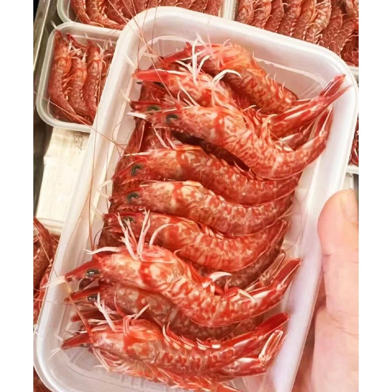 【顺丰发货】深海樱花虾 玫瑰虾红虾海捕野生火焰虾福建东山岛直发