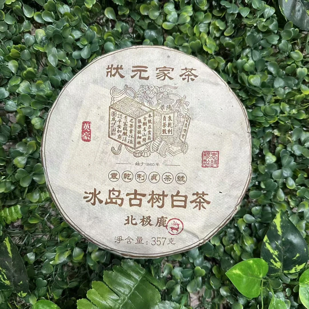 *雨腾小号-YQLZ冰岛古树白茶北J鹿古树白茶357g/饼