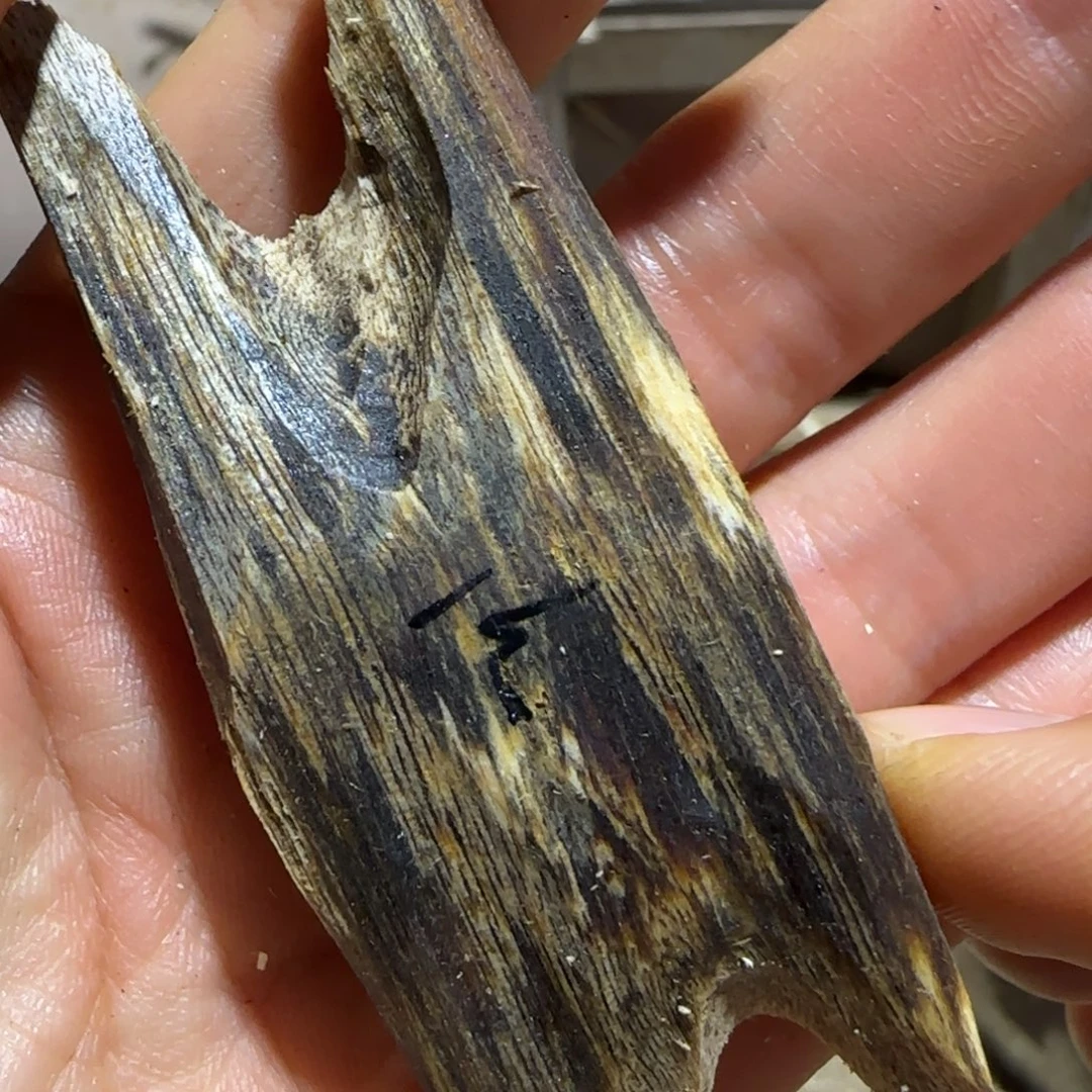 沉香碎屑沉香31号奇楠沉香原木一个乌身