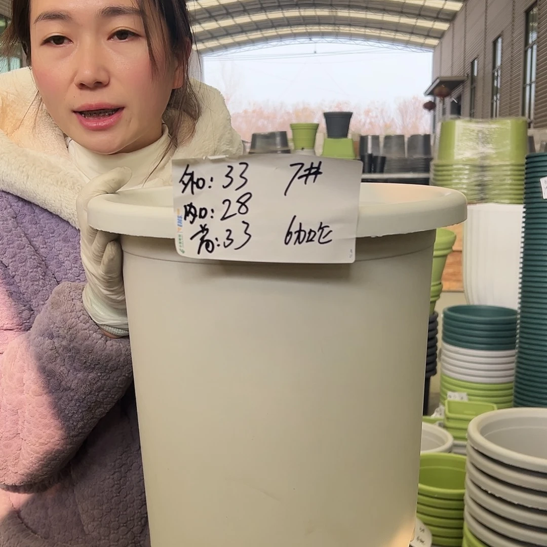 四季盆7#白色5个无托