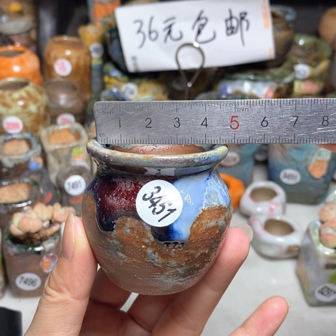 拍5送一个小礼物