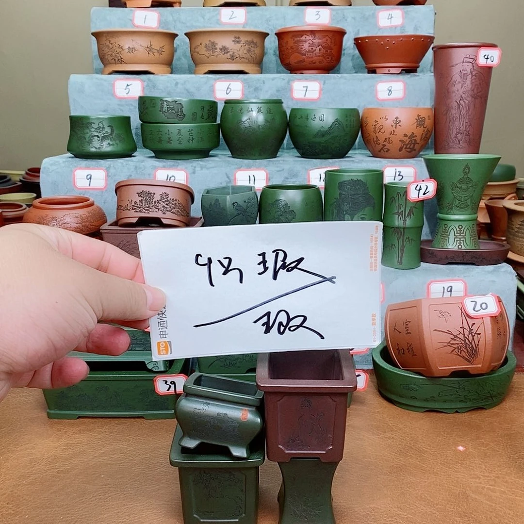 紫砂花盆我在看书