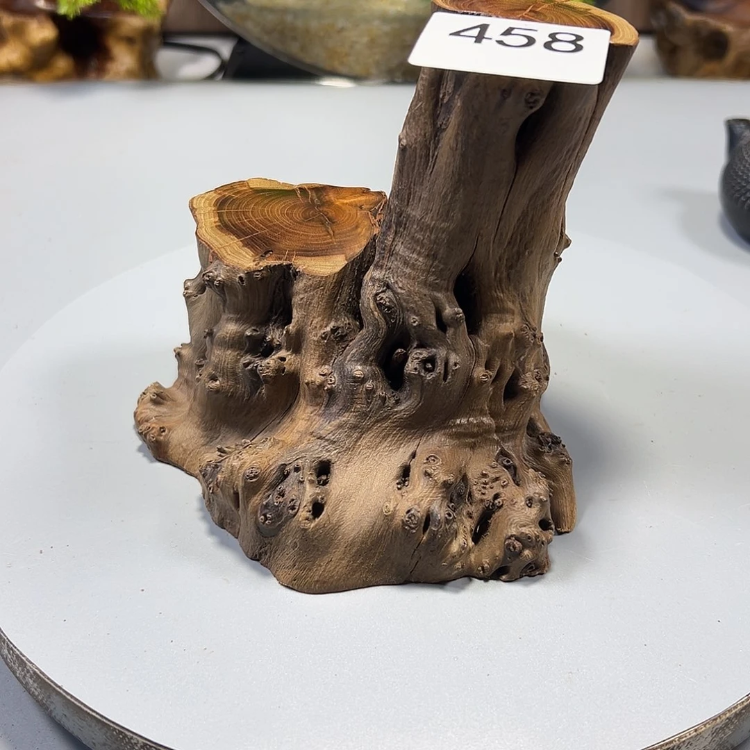 大果紫檀（缅甸花梨）言***唐