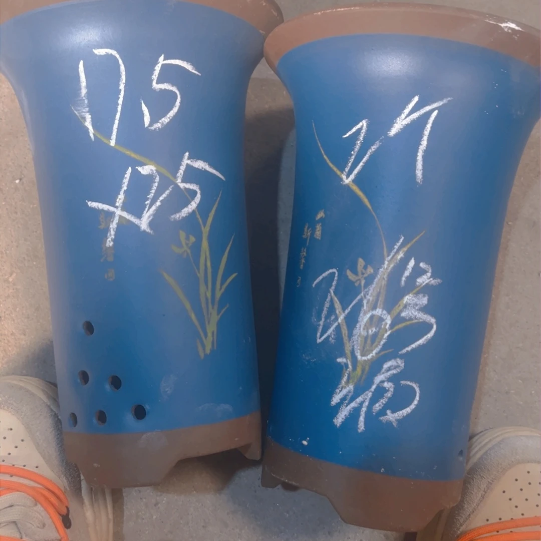紫砂26……………………………………