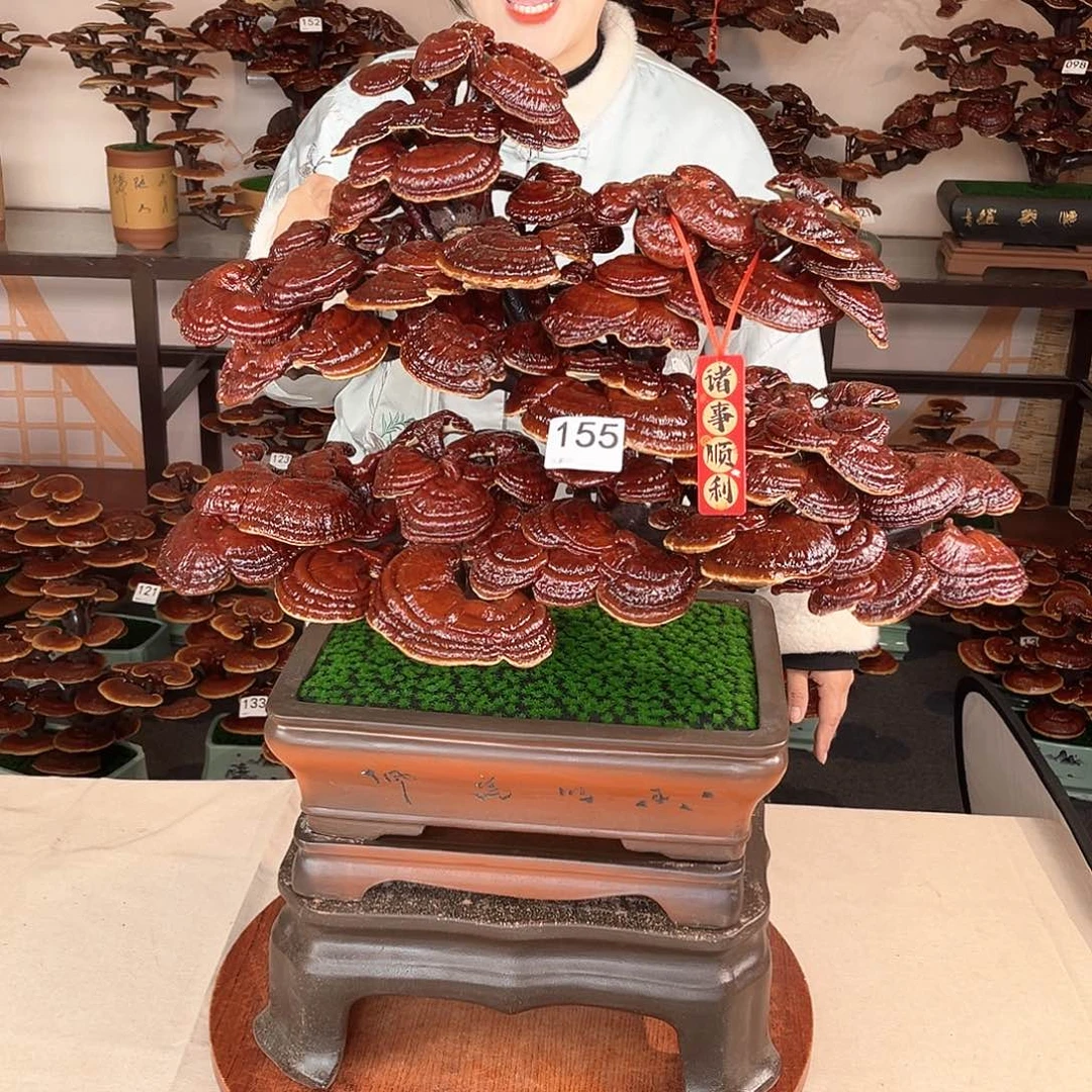 万事如意888888155