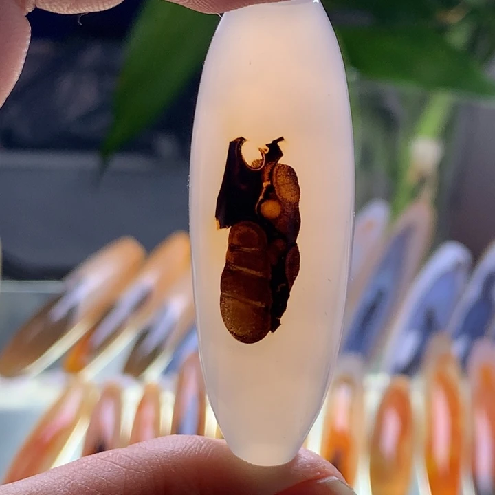 未镶嵌玛瑙/玉髓珠宝半成品10