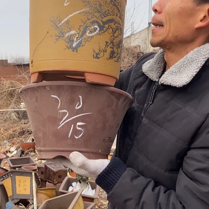紫砂花盆紫砂艺术学院的