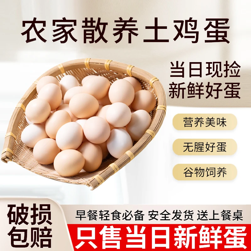 依禾农庄散养土鸡蛋 新鲜初生蛋开窝鸡蛋单枚40±5g鲜鸡蛋