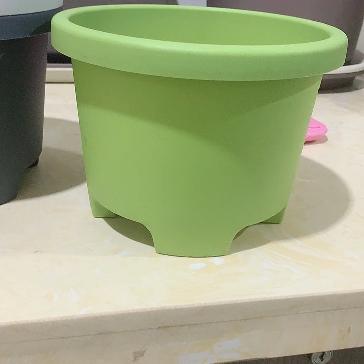 球根口21果绿5个无托