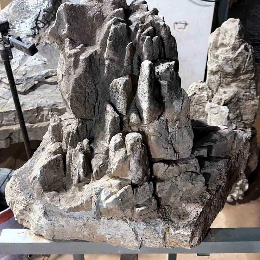 【闪购商品】香榧木老*高山理论研究者在这里说