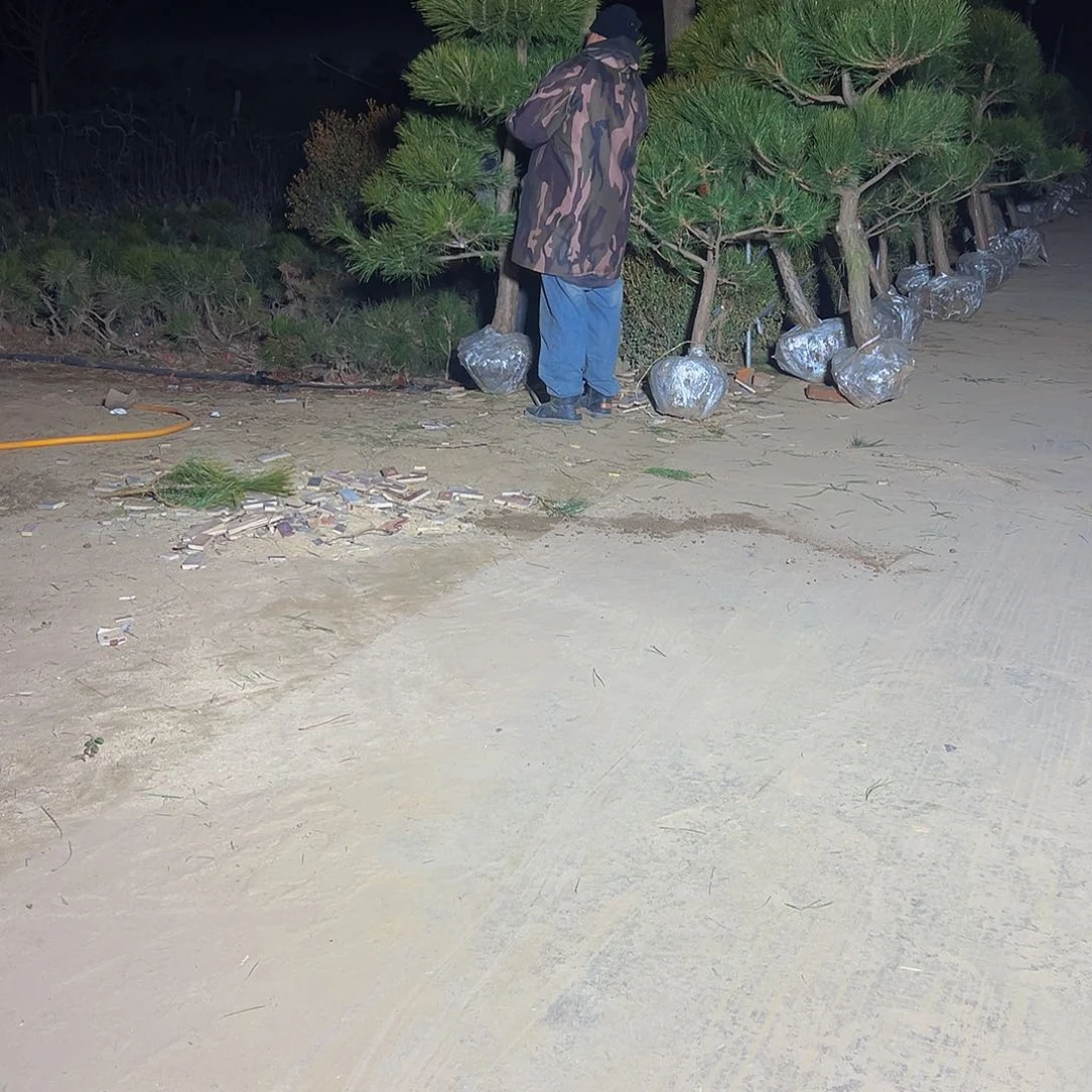 鑫**饰888888888888888