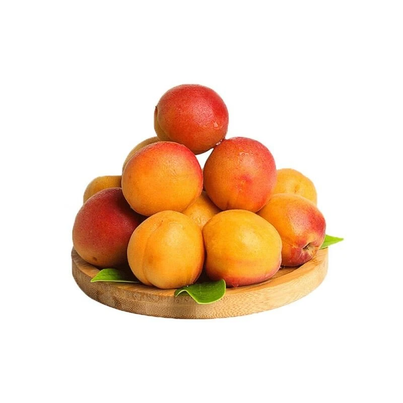 优选 红串杏400g/份