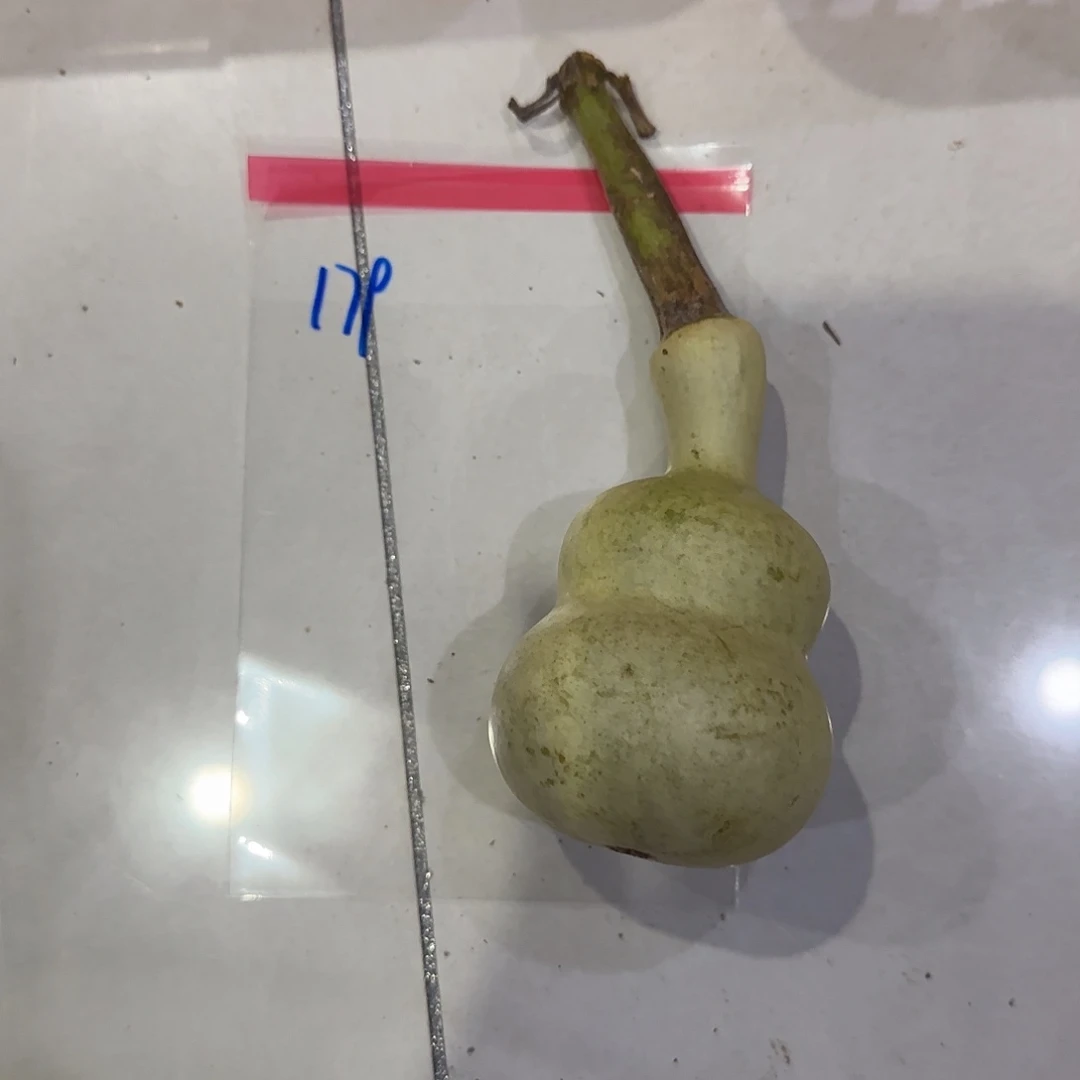 2***3过hhh嘎嘎嘎hhh刚回家bbb