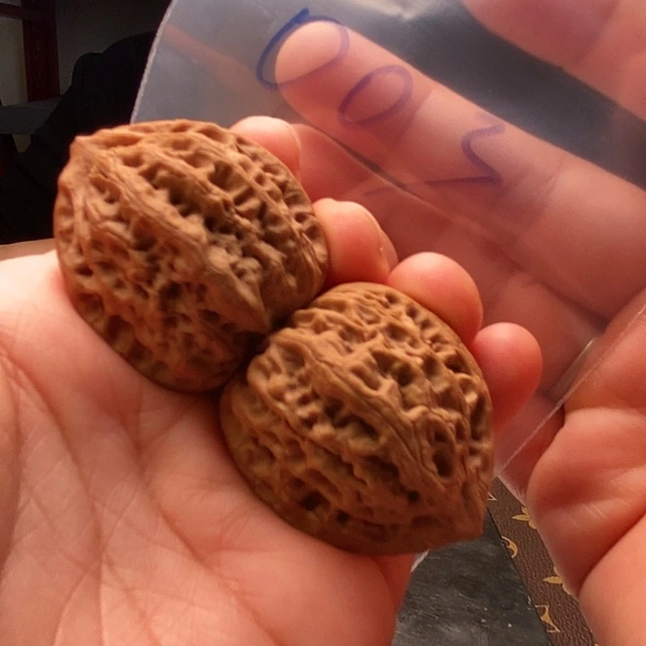 核桃全品佛肚003号