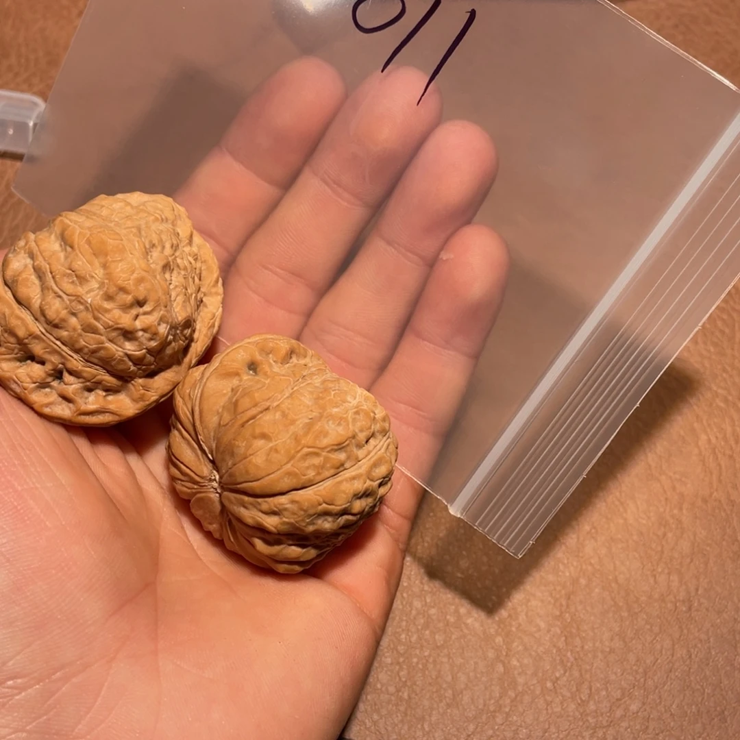 睡***着手串/手链核桃011