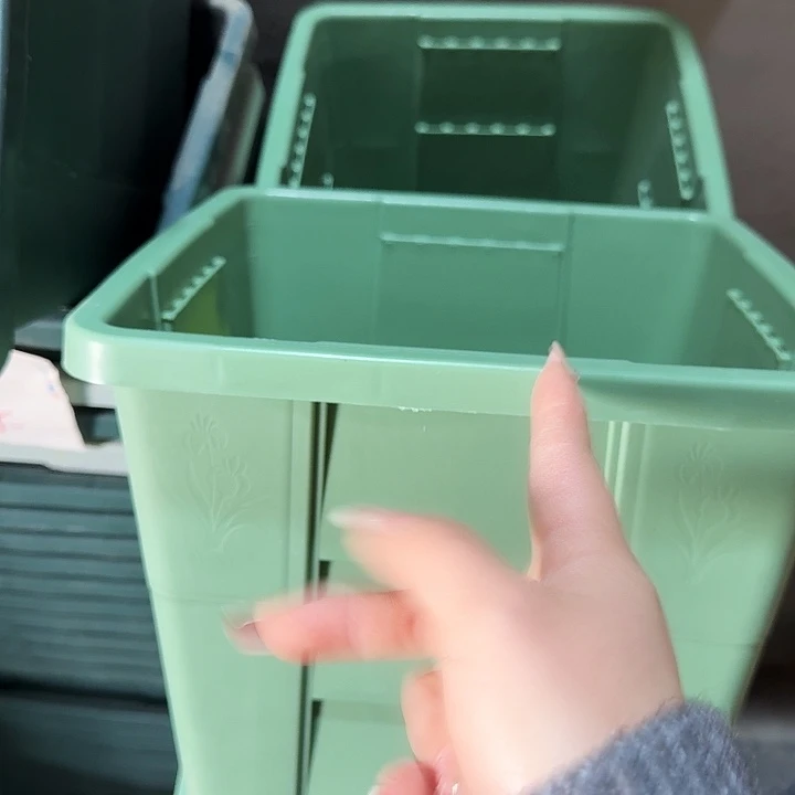 编号403果绿无托4个