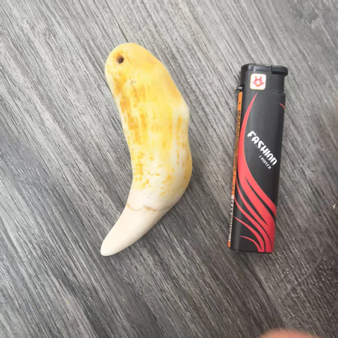 1007高级驼牙下牙