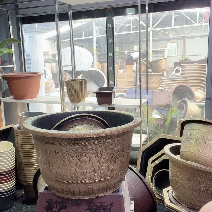 梅花照眼 依然旧风味