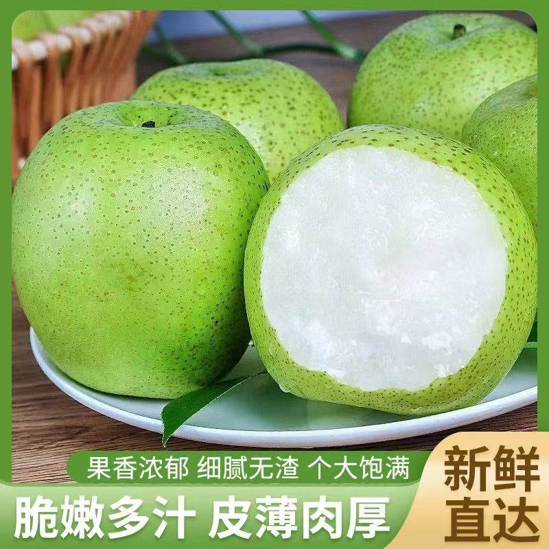 安徽砀山梨皇冠梨 青皮梨 脆甜爆汁 水果 细腻无渣