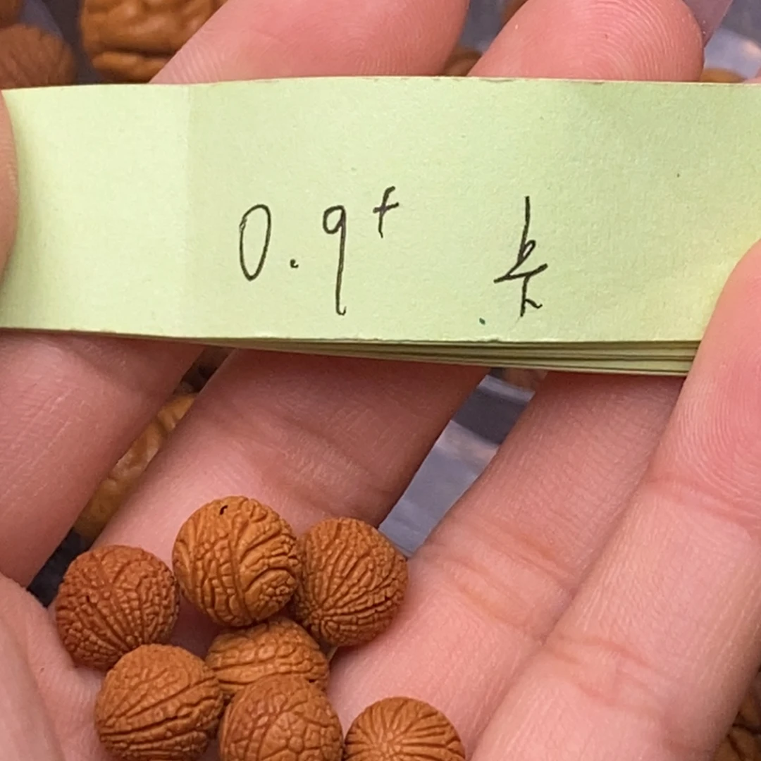 秦岭山脉龙纹桃核22