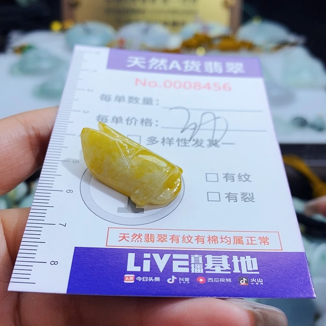 翡翠未镶嵌毛衣链8456
