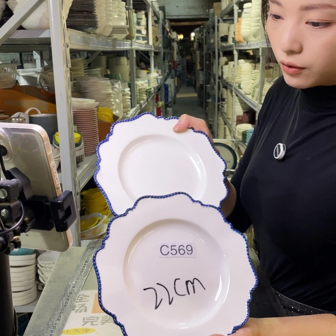 瓷片569               2个