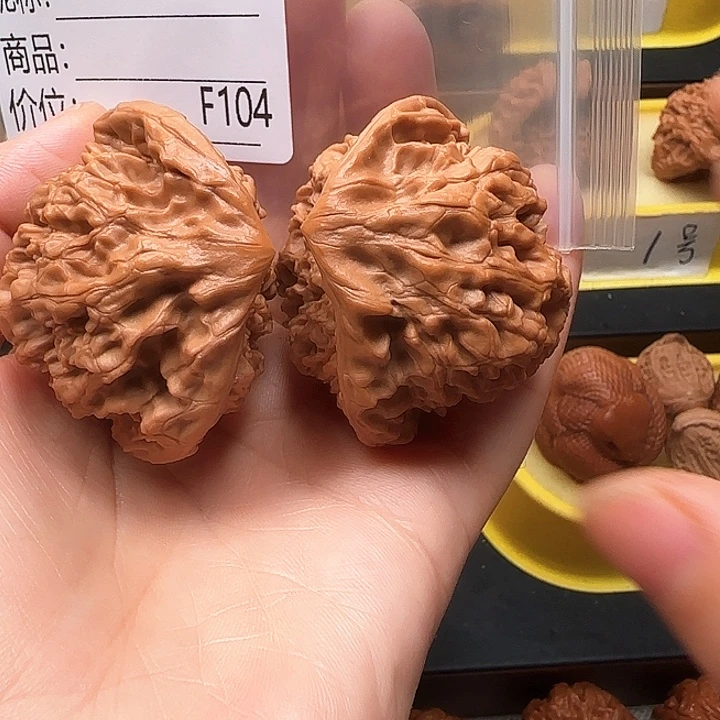 逍***在核桃蛇王蛇王蛇王48