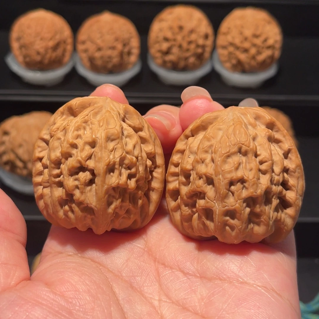 全品，精品，40红锦鲤723