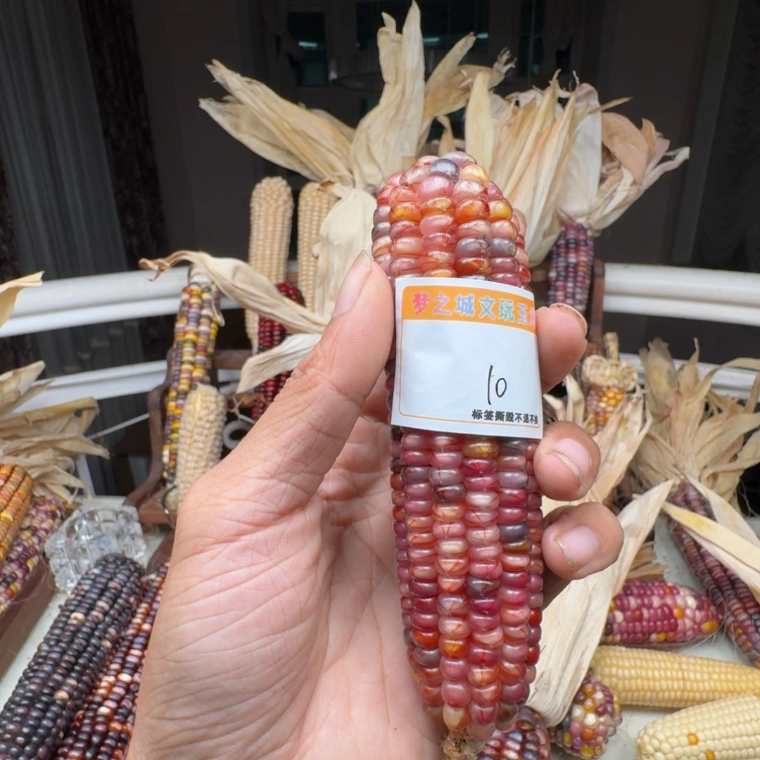 爱***哒吊坠柏香籽/百香籽