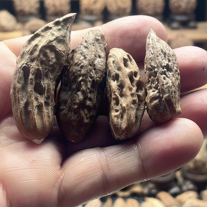 无***知把件文玩核桃东北核桃