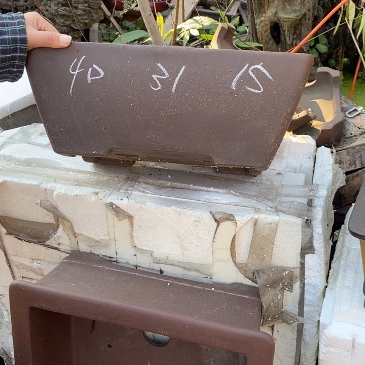 紫砂花盆只顾吃药睡