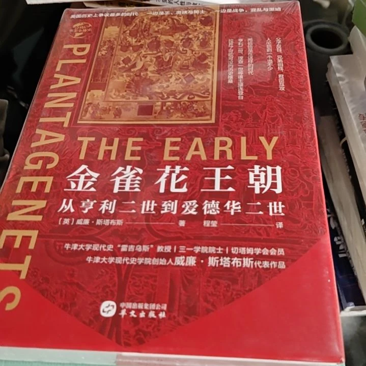 金雀花王朝精装塑封