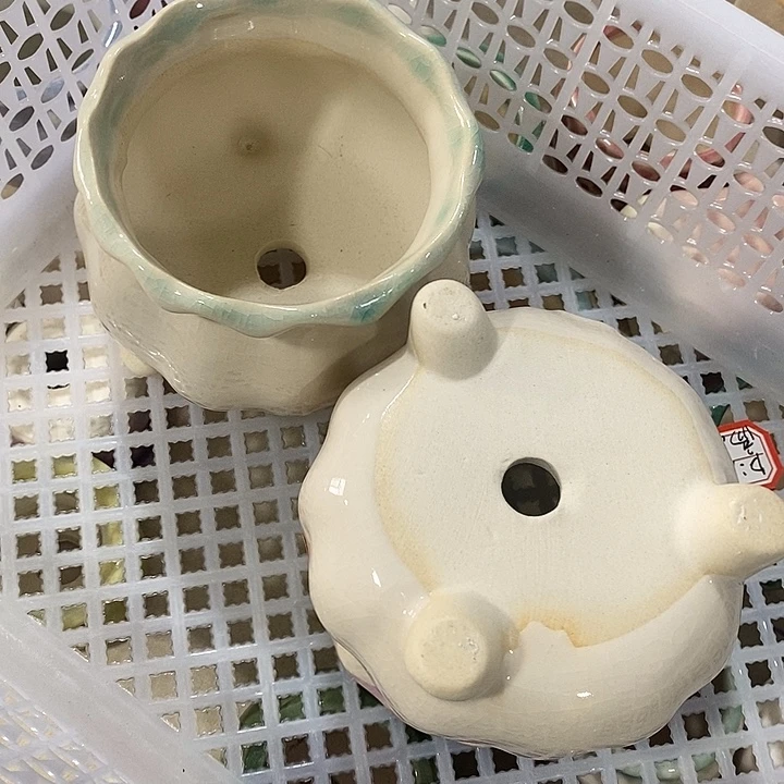 花盆抢购清货马上开始