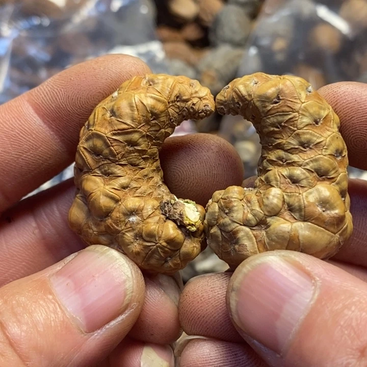 文玩核桃吊坠东北特产26