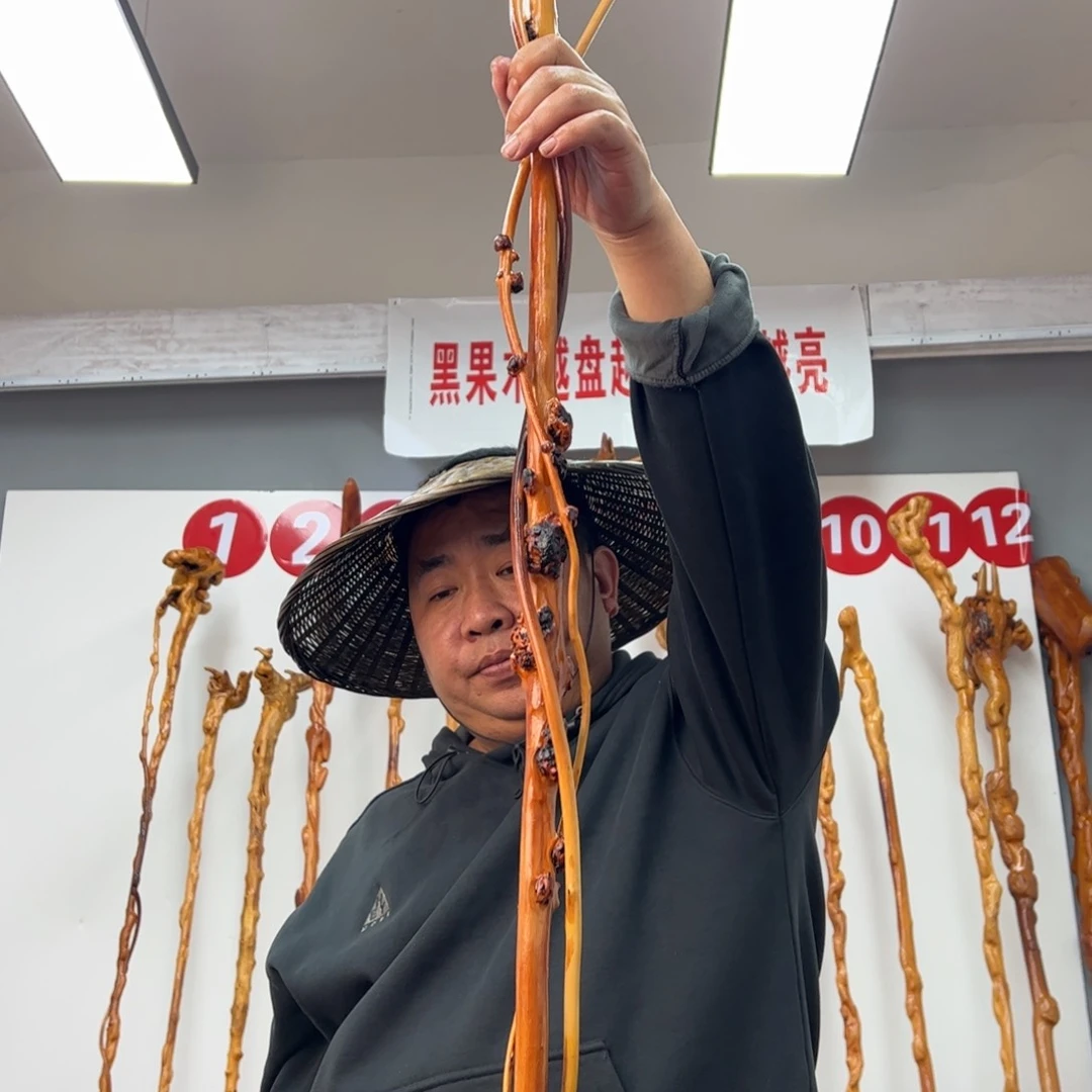 黑果木其他6*度黑果木609