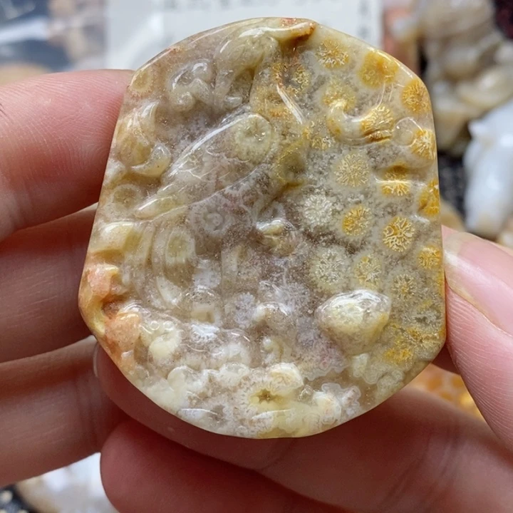 硅化珊瑚（珊瑚玉）颈饰未镶嵌