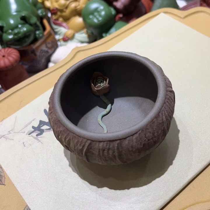 茶壶紫砂特惠主人杯