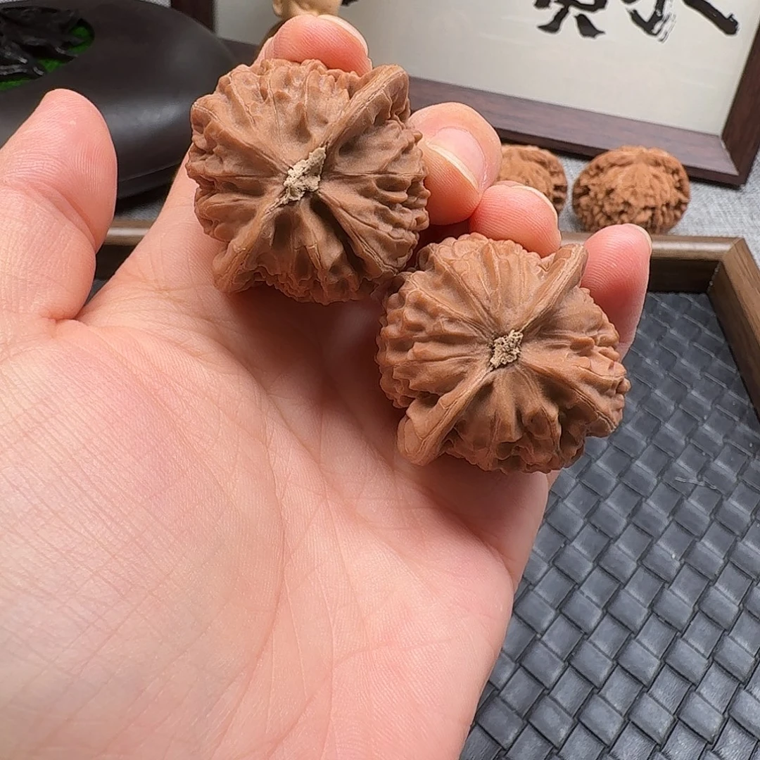 核桃新果全品宫灯40