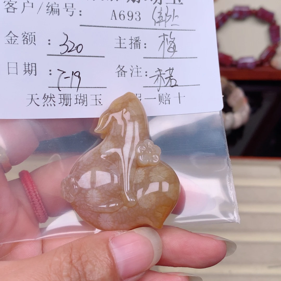 未***羽硅化玉珊瑚玉未镶嵌