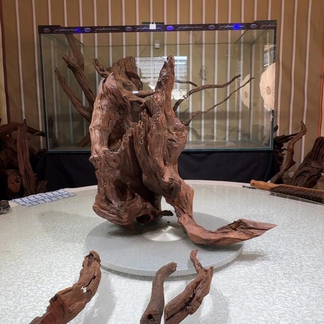 轻***身一物一拍鱼缸造景