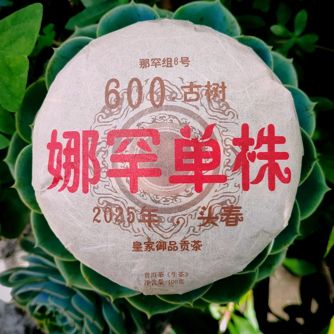 新品【娜罕单株】25年娜罕600年古树头春手工紧压茶饼100克