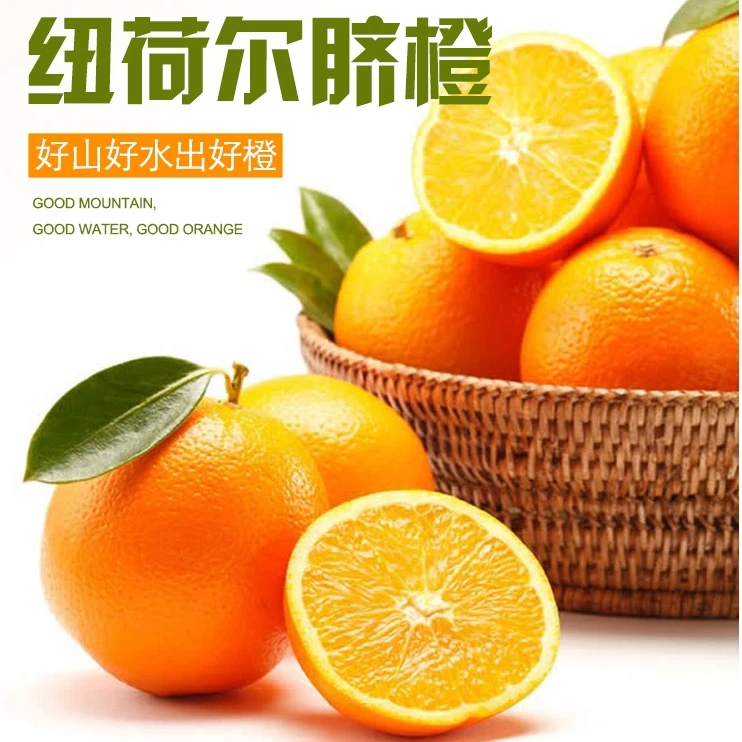 【新鲜现发】纽荷尔脐橙现摘新鲜水果产地直发香甜多汁