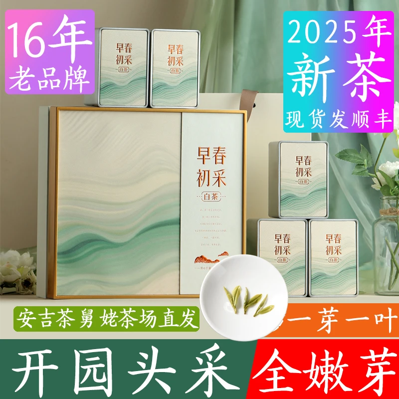 现货2025年新茶250g安吉白茶茶叶春茶高端礼盒装正宗特级春季好茶