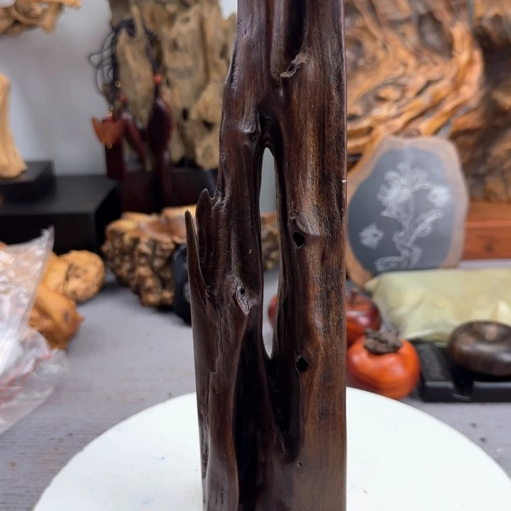大果紫檀（缅甸花梨）老**师