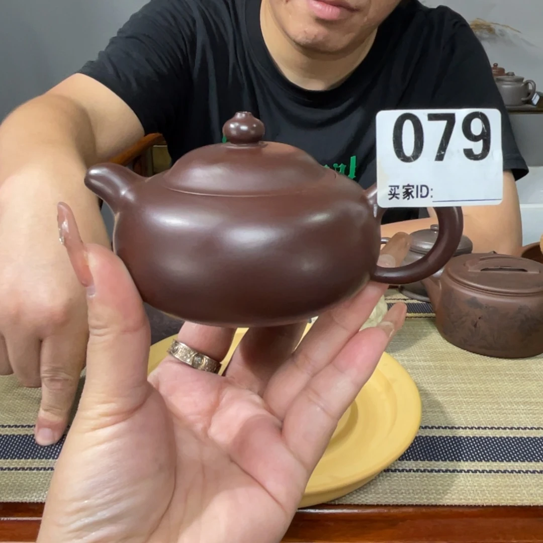茶壶紫砂宜兴紫砂111